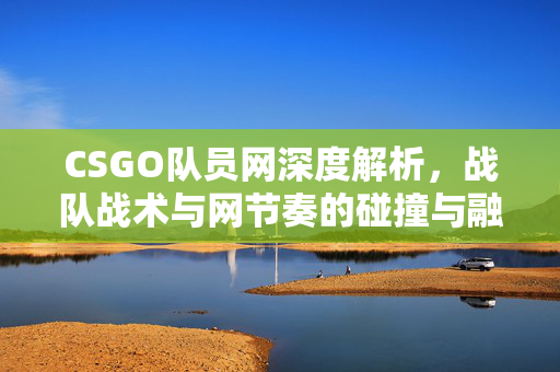 CSGO队员网深度解析，战队战术与网节奏的碰撞与融合
