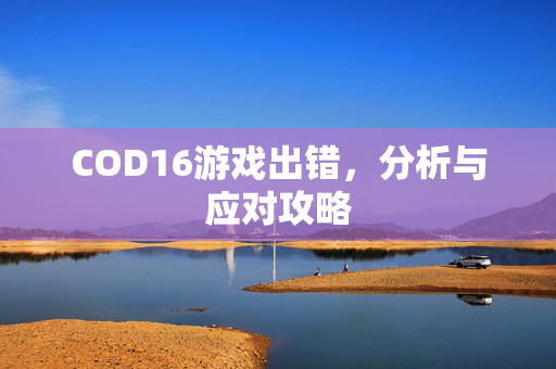 COD16游戏出错，分析与应对攻略