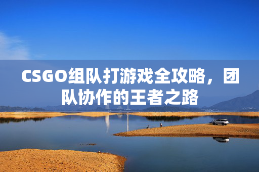CSGO组队打游戏全攻略，团队协作的王者之路