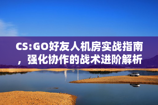 CS:GO好友人机房实战指南，强化协作的战术进阶解析