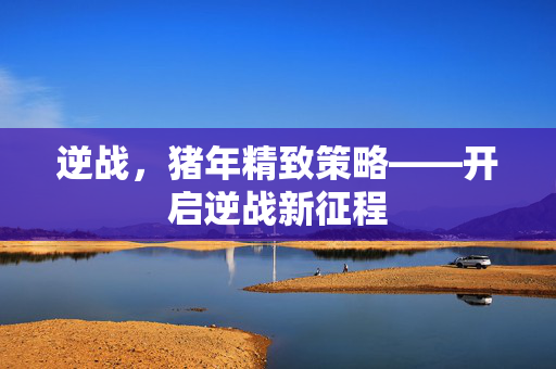 逆战,猪年精致策略——开启逆战新征程 逆战,猪年精致策略——开启逆战新征程