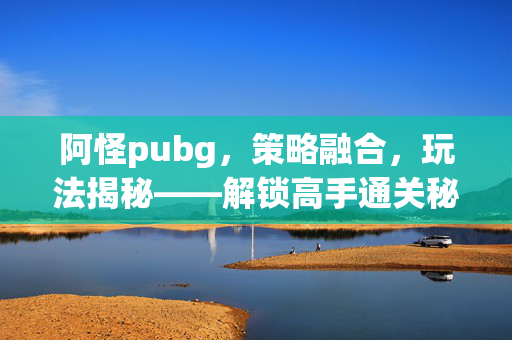 阿怪pubg，策略融合，玩法揭秘——解锁高手通关秘籍