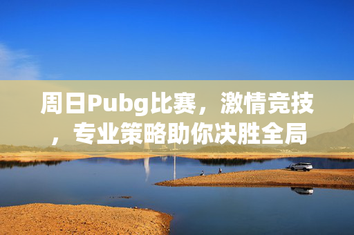 周日Pubg比赛，激情竞技，专业策略助你决胜全局
