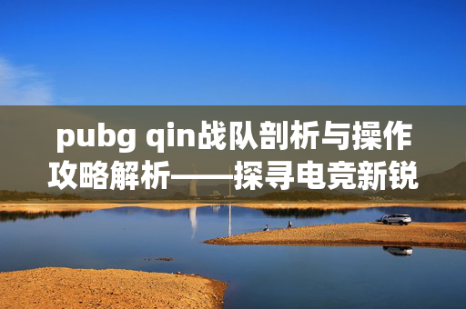 pubg qin战队剖析与操作攻略解析——探寻电竞新锐的精彩表现