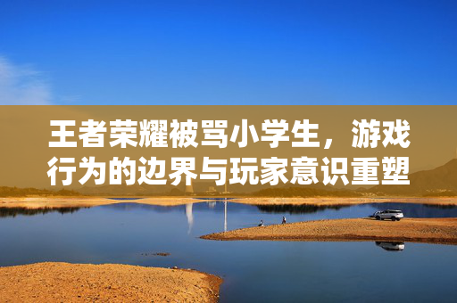 王者荣耀被骂小学生，游戏行为的边界与玩家意识重塑