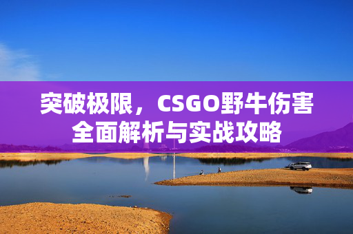 突破极限，CSGO野牛伤害全面解析与实战攻略