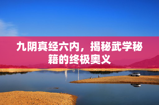 九阴真经六内，揭秘武学秘籍的终极奥义