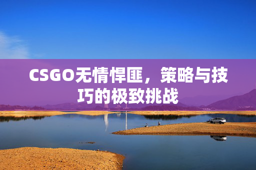 CSGO无情悍匪，策略与技巧的极致挑战