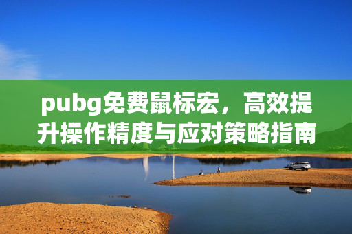 pubg免费鼠标宏，高效提升操作精度与应对策略指南