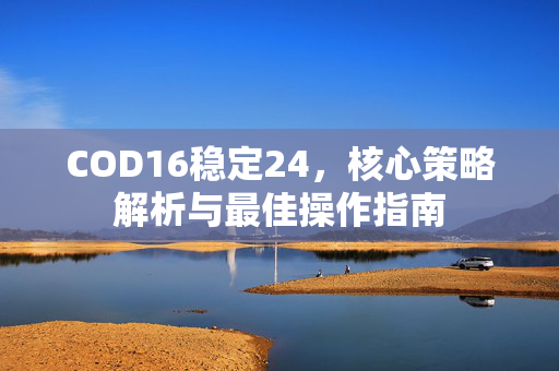 COD16稳定24，核心策略解析与最佳操作指南