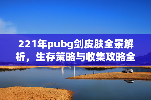 221年pubg剑皮肤全景解析，生存策略与收集攻略全指南