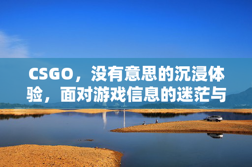 CSGO，没有意思的沉浸体验，面对游戏信息的迷茫与局限