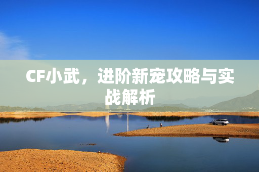 CF小武，进阶新宠攻略与实战解析