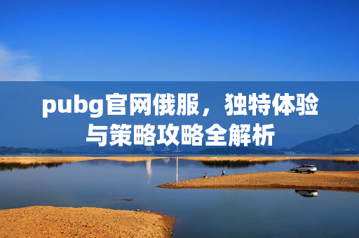 pubg官网俄服，独特体验与策略攻略全解析