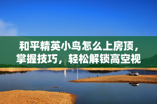 和平精英小鸟怎么上房顶，掌握技巧，轻松解锁高空视野玩法