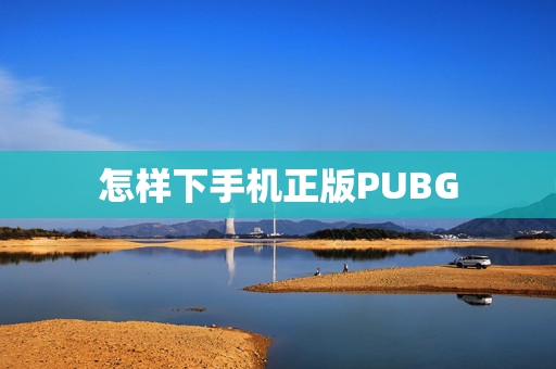 怎样下手机正版PUBG