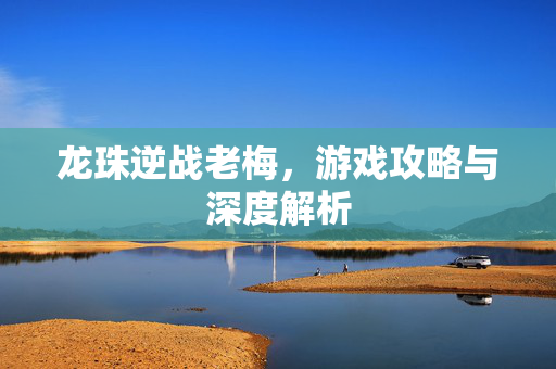 龙珠逆战老梅，游戏攻略与深度解析