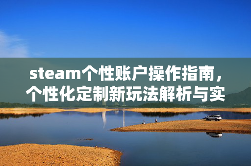 steam个性账户操作指南，个性化定制新玩法解析与实用攻略