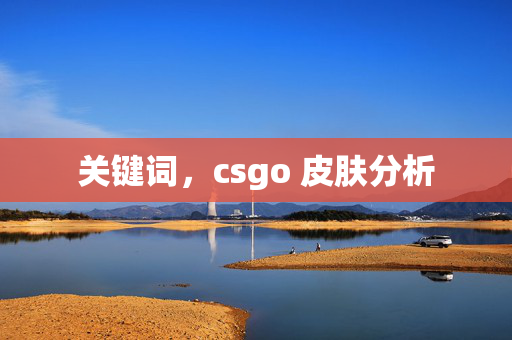 关键词，csgo 皮肤分析