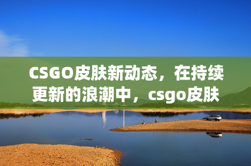 CSGO皮肤新动态，在持续更新的浪潮中，csgo皮肤一直新的关键逻辑与机遇