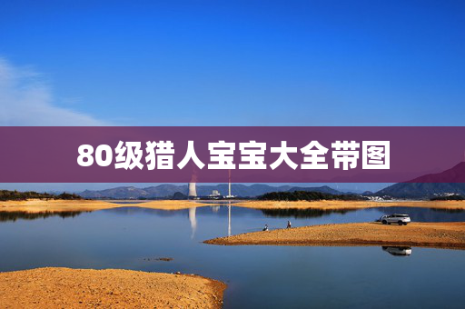 80级猎人宝宝大全带图