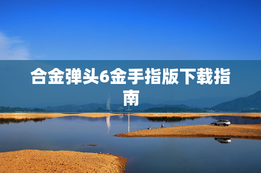 合金弹头6金手指版下载指南