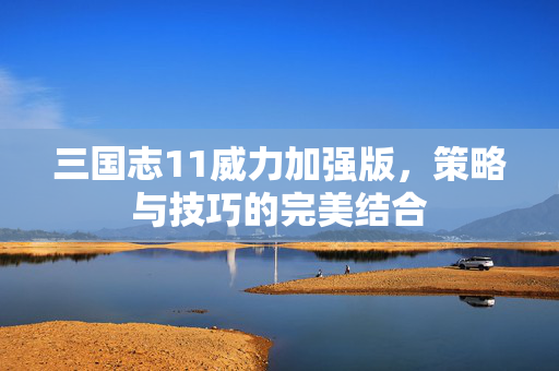三国志11威力加强版，策略与技巧的完美结合
