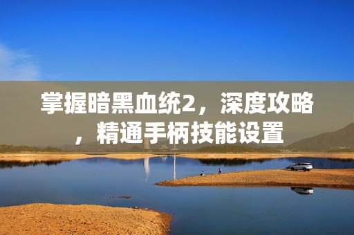 掌握暗黑血统2，深度攻略，精通手柄技能设置