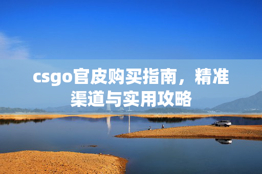 csgo官皮购买指南，精准渠道与实用攻略