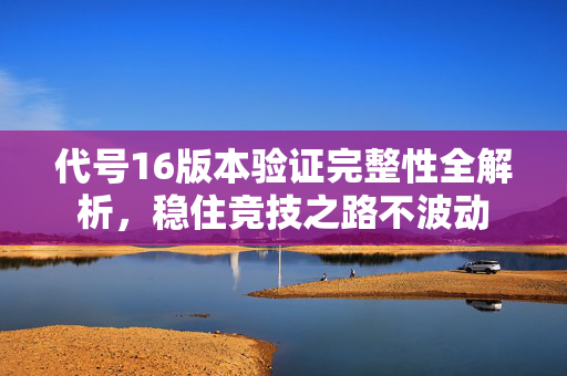 代号16版本验证完整性全解析，稳住竞技之路不波动