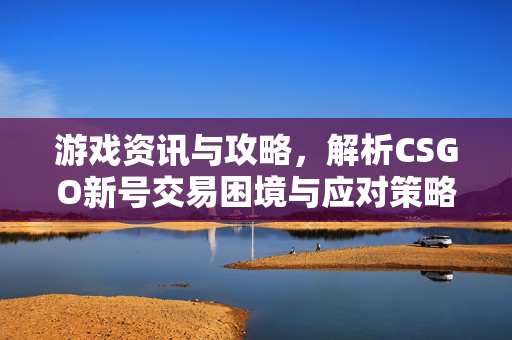 游戏资讯与攻略，解析CSGO新号交易困境与应对策略