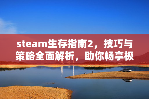 steam生存指南2，技巧与策略全面解析，助你畅享极致游戏体验