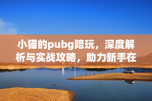 小猫的pubg陪玩，深度解析与实战攻略，助力新手在游戏中高效成长
