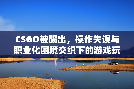 CSGO被踢出，操作失误与职业化困境交织下的游戏玩法解析与应对指南