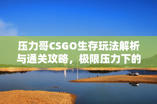 压力哥CSGO生存玩法解析与通关攻略，极限压力下的精准操作指南