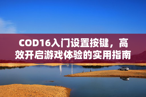 COD16入门设置按键，高效开启游戏体验的实用指南