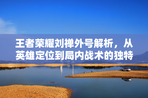 王者荣耀刘禅外号解析，从英雄定位到局内战术的独特解读