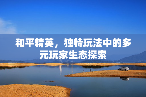 和平精英，独特玩法中的多元玩家生态探索