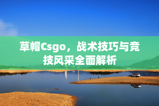 草帽Csgo，战术技巧与竞技风采全面解析
