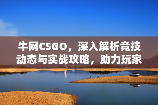 牛网CSGO，深入解析竞技动态与实战攻略，助力玩家赢得每一场博弈
