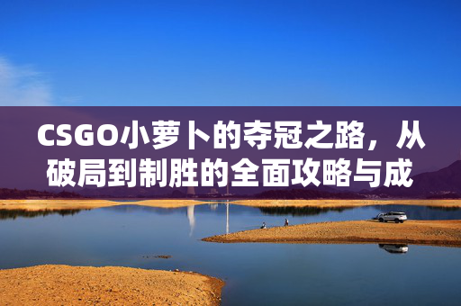 CSGO小萝卜的夺冠之路，从破局到制胜的全面攻略与成长解析