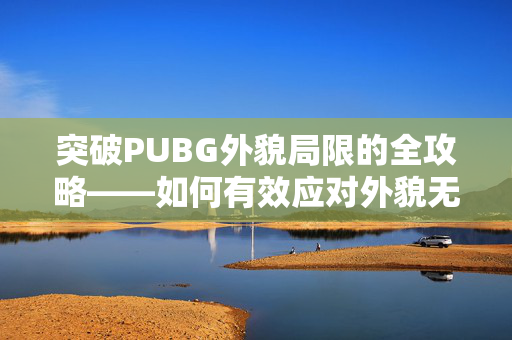 突破PUBG外貌局限的全攻略——如何有效应对外貌无法修改的困境并应对后续策略调整
