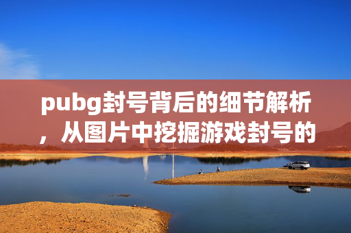 pubg封号背后的细节解析，从图片中挖掘游戏封号的规则与应对策略