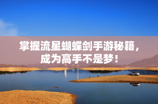 掌握流星蝴蝶剑手游秘籍，成为高手不是梦！