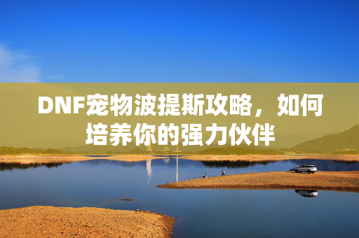 DNF宠物波提斯攻略，如何培养你的强力伙伴