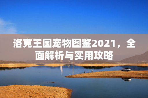 洛克王国宠物图鉴2021，全面解析与实用攻略