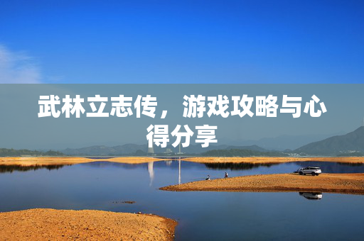 武林立志传，游戏攻略与心得分享