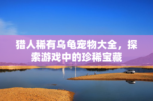 猎人稀有乌龟宠物大全，探索游戏中的珍稀宝藏