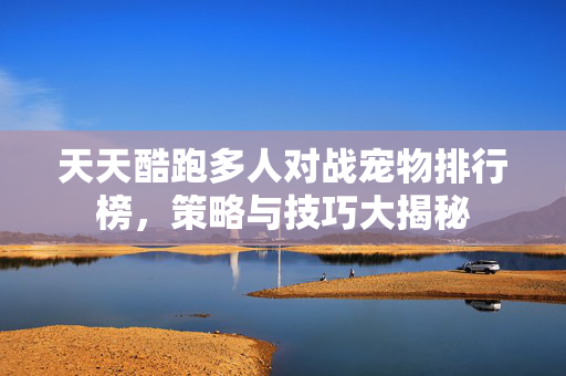 天天酷跑多人对战宠物排行榜，策略与技巧大揭秘