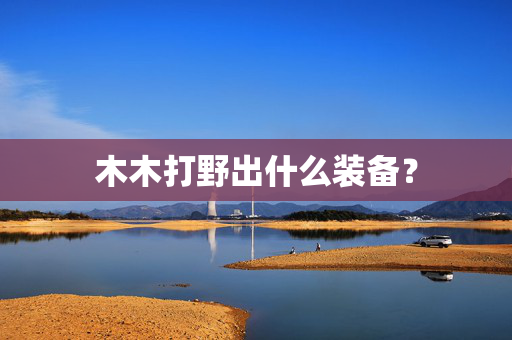 木木打野出什么装备? 木木打野出什么装备?